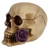 Skull with Purple Rose