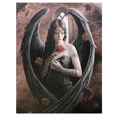 Angel Rose Small Canvas by Anne Stokes