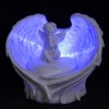 LED Dream Cherub Angel Wings