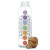 Chakra Glass Water Bottle 500ml