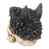 Sharman 14cm Skull