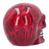 Romance Medium 11cm Skull