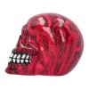 Romance Medium 11cm Skull