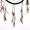 Loyal Companions 33cm Dreamcatcher by Lisa Parker