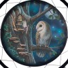 Fairy Tales 60cm Dreamcatcher by Lisa Parker