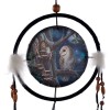 Fairy Tales 16cm Dreamcatcher by Lisa Parker