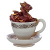 Red Baby Dragon in a Teacup