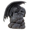 Dragon Pool Backflow Burner