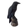 Black Crow Figurine