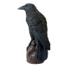 Black Crow Figurine