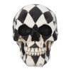 Harlequin Skull