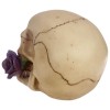 Skull with Purple Rose