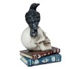 Black Crow On Skull Figurine