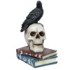 Black Crow On Skull Figurine