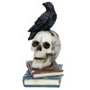 Black Crow On Skull Figurine