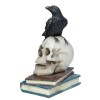 Black Crow On Skull Figurine