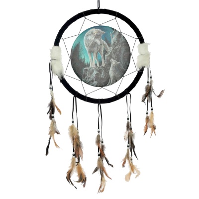 Guidance 33cm Dreamcatcher by Lisa Parker