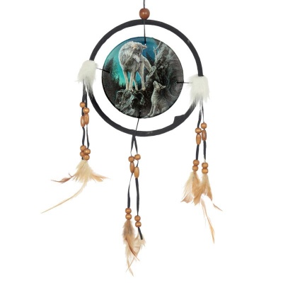 Guidance 16cm Dreamcatcher by Lisa Parker