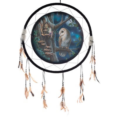 Fairy Tales 60cm Dreamcatcher by Lisa Parker