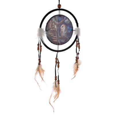 Fairy Tales 16cm Dreamcatcher by Lisa Parker