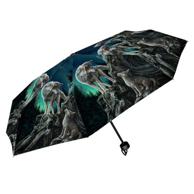 Guidance Umbrella by Lisa Parker