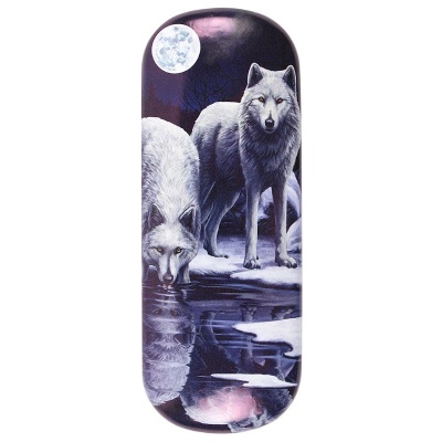 Warriors of Winter glasses case by Lisa Parker