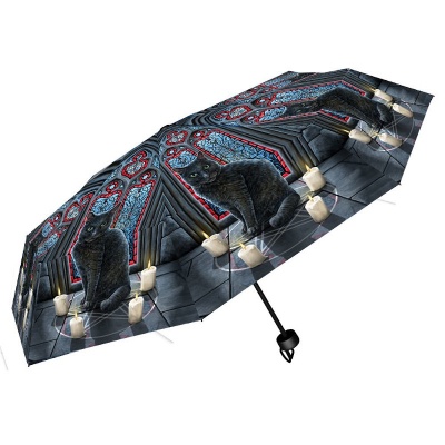 Sacred Circle Umbrella by Lisa Parker