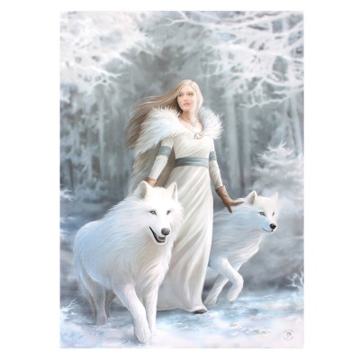 Winter Guardian Small Canvas by Anne Stokes