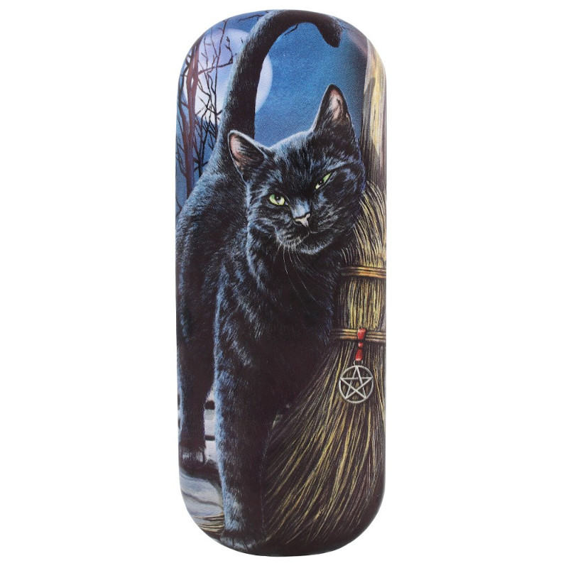 Brush with Magick glasses case by Lisa Parker