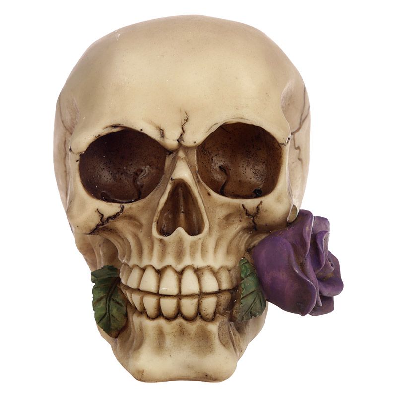 Skull with Purple Rose