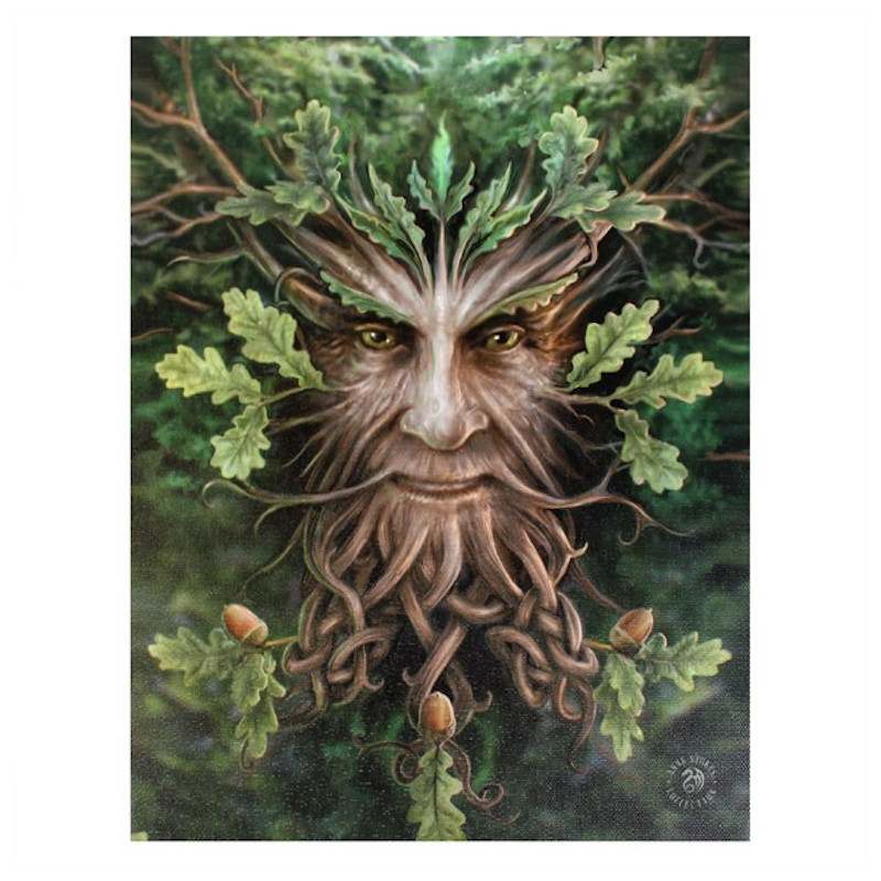 Oak King Small Canvas by Anne Stokes